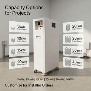 Batterie de stockage d'énergie sur roues 25,6V 51,2V 100Ah-800Ah Multi kWh pour la sauvegarde à domicile - Product Image 5