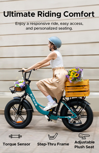 Nuevo Producto 2024 Bicicleta Eléctrica de Autoequilibrio L20 Boost de Dos Ruedas con Motor de Buje Trasero de 250W, 7 Velocidades y Batería de Litio de 48V de Aluminio - Product Image 3