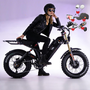 Bicicleta eléctrica de carga eAhora Romeo 2 con neumáticos gruesos negros, bicicleta utilitaria con portaequipajes trasero para reparto urbano y desplazamientos. - Product Image 1