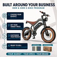 Toptan 250W 48V 15.6Ah Büyük Tekerlekli Şişman Lastikli Dağ EV ET Arazi Şehir E Elektrikli Arazi Bisikleti Bisiklet Fatbike Bisiklet