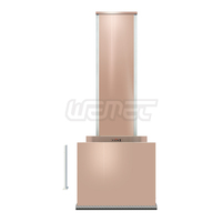 Kit d'ascenseur hydraulique électrique domestique facile à utiliser, 6 m, 250 kg