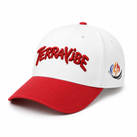 Casquette de baseball incurvée à 6 panneaux avec broderie 3D stéréoscopique alphabet léopard pour hommes et femmes, idéale pour les activités sportives en extérieur