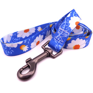 Guinzaglio cane personalizzato OEM ODM servizio di produzione guinzaglio in Nylon per animali domestici accetta il tuo Design e campione per il commercio all'ingrosso - Product Image 4