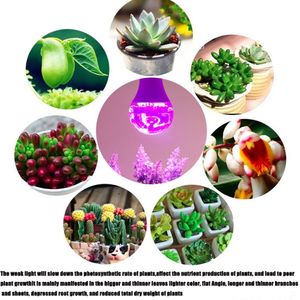 Iluminación Led de fábrica para plantas, para cabeza Clip, luz Led para cultivo, resistente al agua, espectro completo, clic, Bombilla LED para cultivo para plantas de interior - Product Image 3