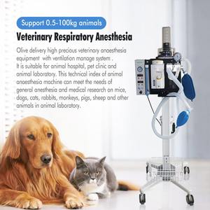 Olive chất lượng tốt y tế thú y cụ máy cầm tay bác sĩ thú y gây mê thiết bị với oxy Bộ tập trung - Product Image 6