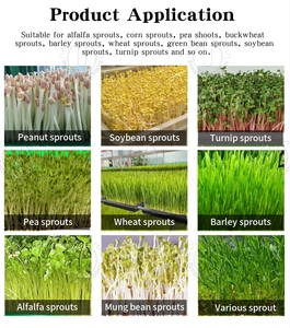 Contenedor de 20 pies/40 pies para Granja, Contenedor Automático para Cultivo de Forraje Animal, Sistema Hidropónico para Cultivo de Cebada con Bandejas Verdes - Product Image 5