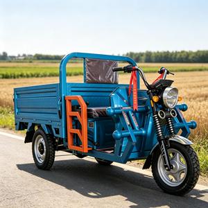 Tricycle de livraison domestique 1000W 60V avec certificat CE pour utilisation en zone rurale - Produits les plus vendus - Product Image 3