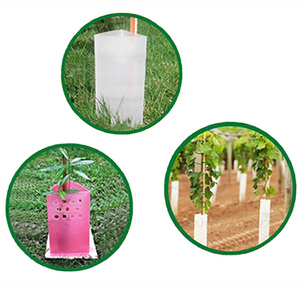 Protecteur d'<span class=keywords><strong>arbre</strong></span> en PP ondulé, protection de <span class=keywords><strong>tronc</strong></span> d'<span class=keywords><strong>arbre</strong></span> sur mesure - Product Image 2