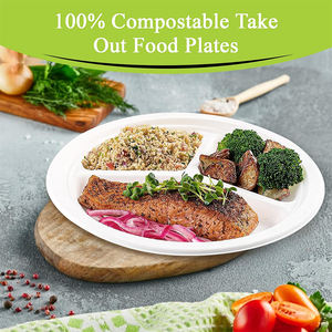 Assiettes compostables à 3 compartiments de 9 pouces, assiettes jetables biodégradables en papier, assiettes divisées en bagasse de canne à sucre pour le dîner - Product Image 4