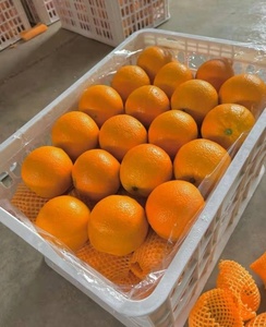 Nueva cosecha Fresh Naval <span class=keywords><strong>Orange</strong></span> Sweet Fruit <span class=keywords><strong>Orange</strong></span> Fresh Mandarin <span class=keywords><strong>Orange</strong></span> - Product Image 2