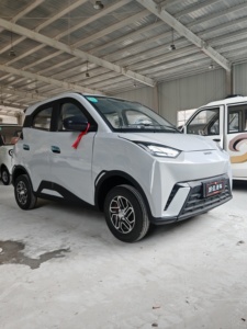 Auto Eléctrico BRT Seagull MINI, Vehículo Eléctrico de Baja Velocidad, Interior Azul y Blanco, Auto de Nueva Energía, Hecho en China - Product Image 5