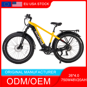 Vélo de route sportif au lithium 750W 48V 20Ah avec cadre et pneus en aluminium, tout-terrain, haute performance 750W, en stock aux États-Unis - Product Image 2