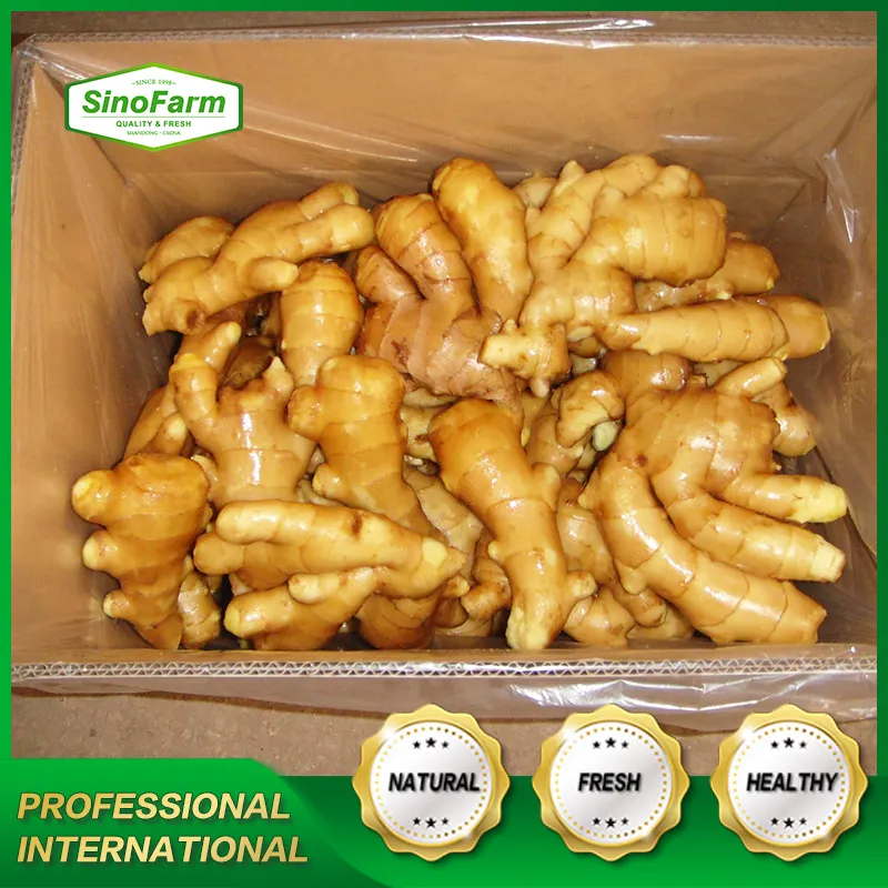 Good Quality Dried Bulk Fresh Ginger Market Price Per Ton Wholesale Gingerbuyers For Buy Dried Gingerexport From China