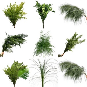 Lexun Grass Tianzhu, Material Floral de Época, Productos de Montaña, Flor de Nicho para Arreglos Florales, Hoja Verde para Bodas en el Bosque - Product Image 1