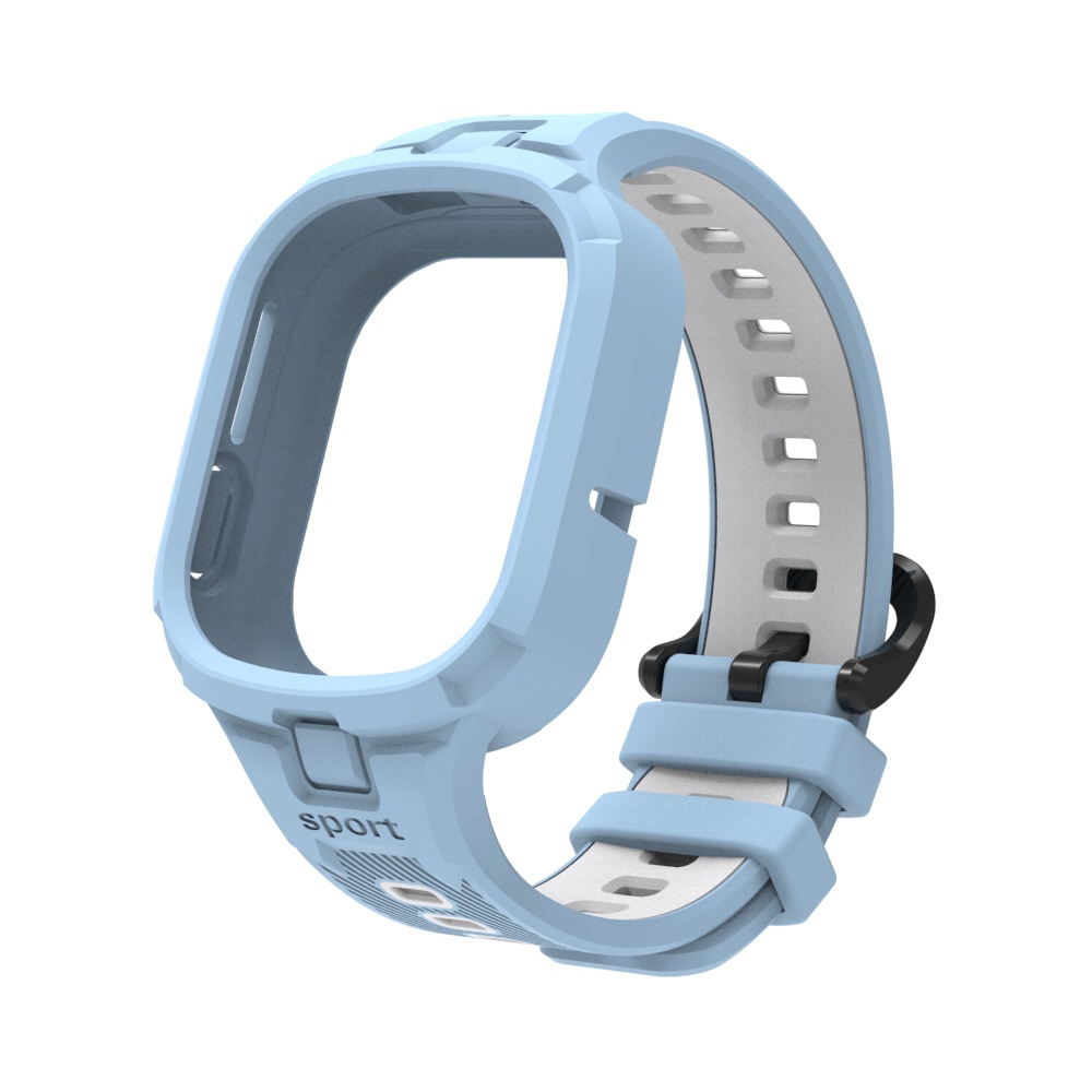 Anatra d'acqua grigia