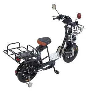 Fast Food Delivery Long Range High Power City Family 2 Seat Electric Cargo Bike Ebike