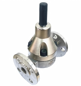Soupape de sécurité à bride arrière en acier inoxydable, accessoires de pompe personnalisés OEM pour système de mesure d'eau - Product Image 5