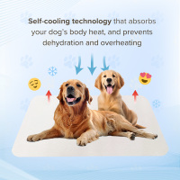 Tapis rafraîchissant pour chien léger, pliable, écologique, en matériau POE, pour la voiture, la maison, le bureau