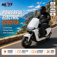 Moto électrique 1200W, 55 km/h, démarrage Bluetooth, frein à disque, écran LED, certifiée CE, usine OEM