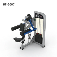 Machine d'extension dorsale commerciale STELLARWAY avec cadre robuste et pile de poids sélectionnable – Usine OEM/ODM