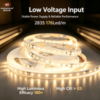 Bande LED flexible haute luminosité DC24V 176 LED/m SMD2835, température de couleur 3000K-6000K, éclairage paysager à corps en cuivre.