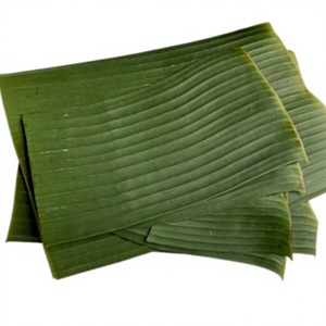 ใบตองแช่แข็งคัดพิเศษ ขนาดสม่ำเสมอ สีเขียวสดใส มาตรฐานสุขอนามัยสูง 100% จากธรรมชาติ สำหรับห่ออาหาร - Product Image 3