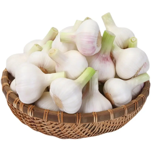 Novo Extrato de Alho em Pó Allicin com Melhor Serviço - Product Image 3