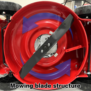 Gasoline Engine DIY <b>Push</b>-Type High-Power Four-Stroke Lawn <b>Mower</b> by Loncin 139cc 2400W Rear Discharge 18inch - Product Image 2