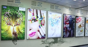 डिजिटल मीडिया विज्ञापन प्रकाश बॉक्स के लिए बैकलिट पीईटी फिल्म - Product Image 5