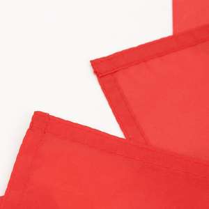 Drapeau de la <span class=keywords><strong>Tunisie</strong></span> en gros Nuoxin, 3x5 pieds, articles imprimés personnalisés pour la fête nationale, drapeau tunisien - Product Image 3