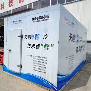 <b>Super</b> Freezer Container, Mobile Container Reefer Container Cold Room 40ft 20ft Customize Provided Energy <b>Saving</b> Chamber - Product Image 5