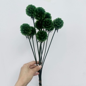 Vendita Calda 10 Pezzi/Bundle Semi di Scabiosa Fiore Preservato Stile Ins Bouquet di <span class=keywords><strong>Fiori</strong></span> Secchi per Decorazione Casa - Product Image 4
