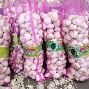 Ail frais blanc pur, bon marché, blanc neige, origine chinoise, ail Super blanc, vente en gros pour l'exportation - Product Image 3