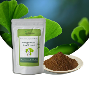 Healthdream cung cấp tự nhiên <span class=keywords><strong>Ginkgo</strong></span> Biloba chiết xuất bột Tổng số flavonoid 24% ginkgolide 6% cho sức khỏe - Product Image 1