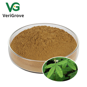 Groothandel <span class=keywords><strong>Mimosa</strong></span> Pudica <span class=keywords><strong>Extract</strong></span> Poeder Mimose Poeder - Product Image 3