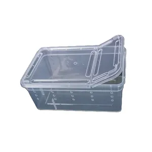 Momo — boîte de transport en plastique, boîte d'élevage, nouveau design, bon prix, vente en gros