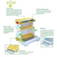 Apiculture Langstroth Ruche 10 cadres Ruche d'abeilles en plastique