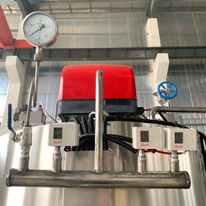 Caldera Futura de 500 kg/h, Caldera de Vapor de Baja Presión, Automática con un Solo Clic, Horizontal, de Gas Natural/GLP, Ahorro de Energía - Product Image 6