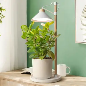 Tabletop LED LED Mini Desk Grow Light automatisch arbeitende Indoor-Kräuteranbau-Pflanzen box mit leichtem kleinen Indoor-Kräuter garten