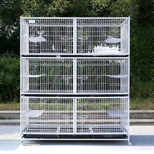 Venta al por mayor de <span class=keywords><strong>metal</strong></span> perro gato cría Perrera de alta calidad jaulas para mascotas pequeña jaula para gatos grandes de interior - Product Image 4