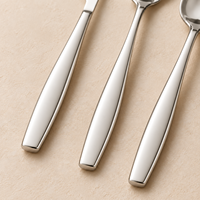 Ensemble de couverts en acier inoxydable 201, manche lisse, 13 pièces, poli à la main, compatible lave-vaisselle, écologique, pour mariage, banquet, hôtel