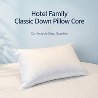 Coussin de cou en duvet de canard pour hôtels, vente en gros, garnissage 910g, housse en coton écologique 500TC, certifié RDS, directement de l'usine, personnalisable