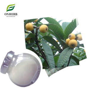Fabriekslevering 100% Natuurlijke Organische Eriobotrya Japonica Thunb. Extract 98% Ursolzuur Poeder Cas 77-52-1 - Product Image 1