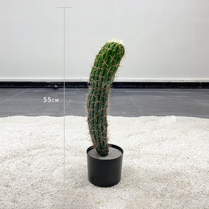 Plante artificielle en plastique imitation cactus, plante décorative pour la décoration extérieure et <span class=keywords><strong>de</strong></span> bureau, fausses plantes, décoration intérieure, plantes artificielles - Product Image 1