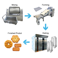 Petite machine entièrement automatique pour la fabrication de biscuits mous, 200 kg/heure, machine rotative pour la formation de biscuits croustillants