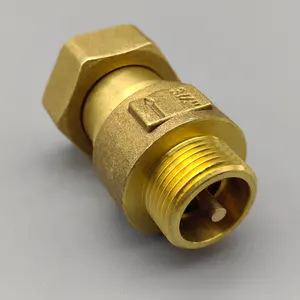 Water Meter Brass Check Valve 1 Way Thread Connection Spring Check Valve