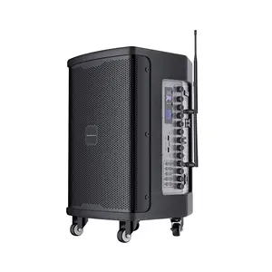 T Speaker Portabel pesta, pengeras suara Karaoke Altavoz profesional terbaik 10 inci 350W kekuatan besar dengan USB/mikrofon