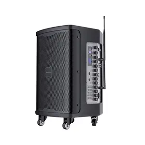 T Tốt Nhất Chuyên Nghiệp Parlante 10 Inch 350W Lớn Điện Đảng Loa Karaoke Altavoz Đảng Loa Di Động Với USB/Microphone