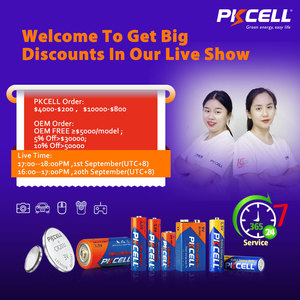 Pin Điều Khiển Từ Xa Bằng Kẽm Cacbon Không Sạc Được 1.5V R6p Um3 Aa, Pin Khô Hạng Nặng - Product Image 2