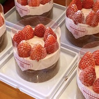 Boîte d'emballage de gâteau aux fraises transparente de 4 pouces pour les boîtes en plastique de gâteau de Mousse de crème de fruit de pâtisserie au four